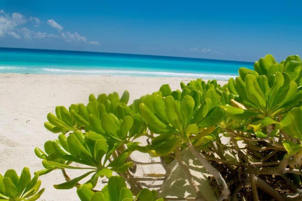 Ocean View Apartment, Best Beach Area, 3 Bedrooms カンクン エクステリア 写真